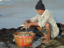 Goa fisherman
